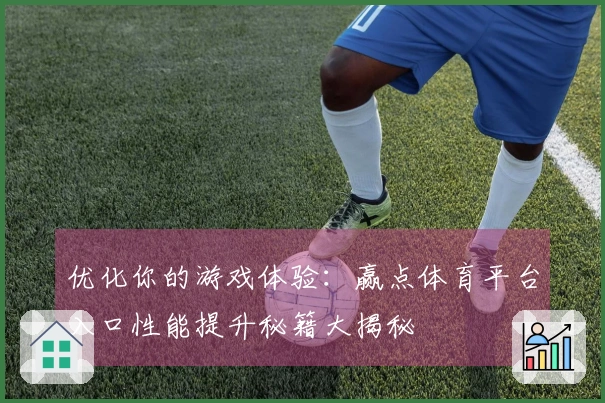 优化你的游戏体验：赢点体育平台入口性能提升秘籍大揭秘