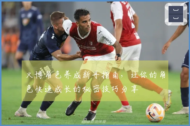 火博角色养成新手指南，让你的角色快速成长的秘密技巧分享